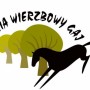Stajnia-Wierzbowy-Gaj-Mokre-858071