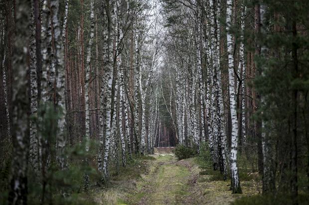 Urle fot: Tomasz Kaczor