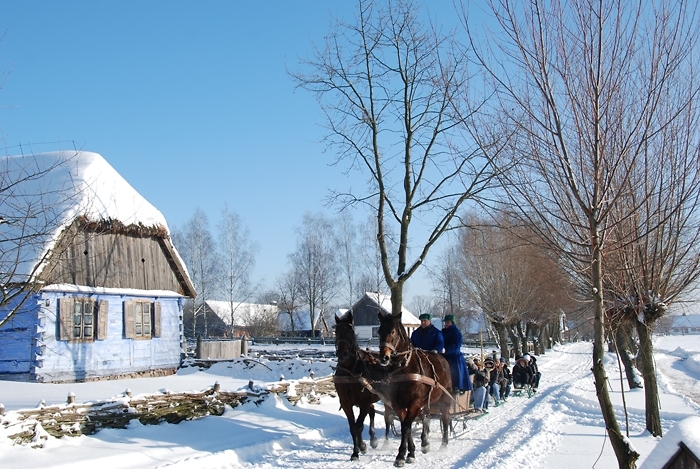Skansen w Muzeum Wsi Mazowieckiej w Sierpcu (fot. D. Krześniak)