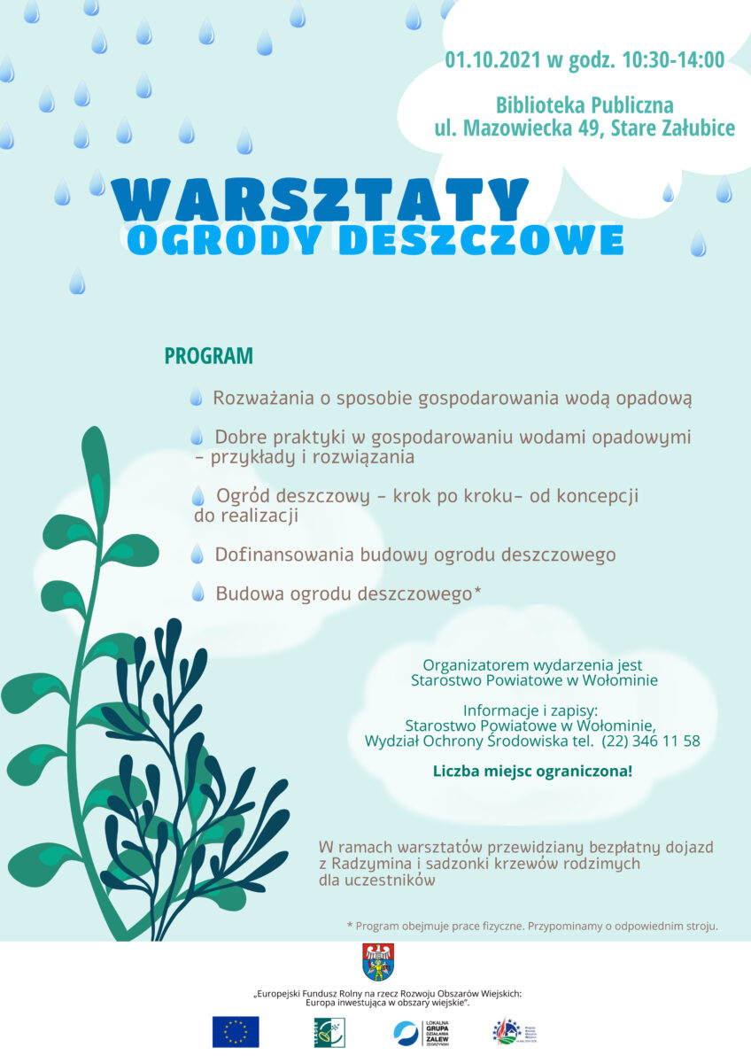 Plakat Ogród deszczowy